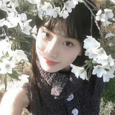 真爱如血第五季